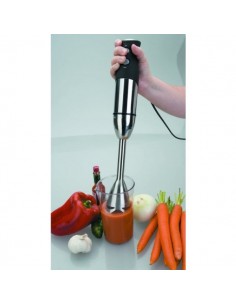 MIXEUR & HACHOIR LACOR ELECTRIQUE 2