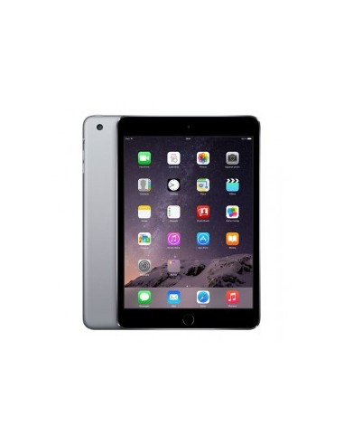 iPad mini 316GB Space Gray/Silver