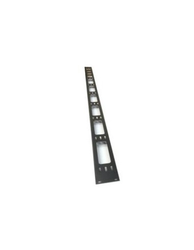 Gestionnaire de câble vertical, 42U, 1 pièce