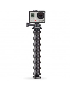 Gooseneck 2