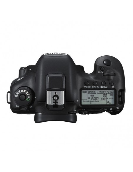 Reflex EOS 7D Mark II + Objectif Canon EF-S 18-135mm f/3.5-5.6 IS STM