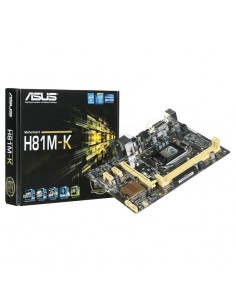 Asus carte mère Intel Socket 1150-c h81m DDR3x2 16GB 1600mhz DVI-D mATX