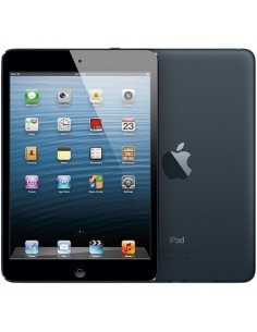 Apple iPad mini Wi-Fi 16 Go Noir 2