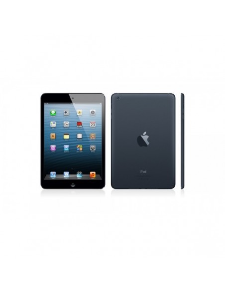 Apple iPad mini Wi-Fi 16 Go Noir