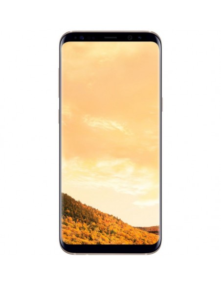 Samsung Galaxy S8 Plus Gold