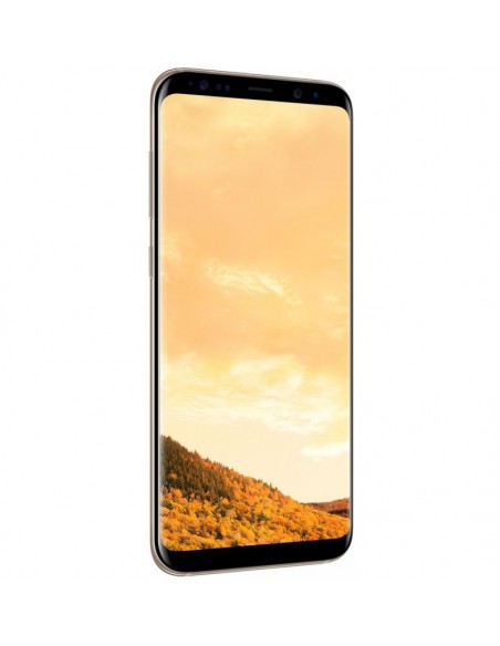 Samsung Galaxy S8 Plus Gold