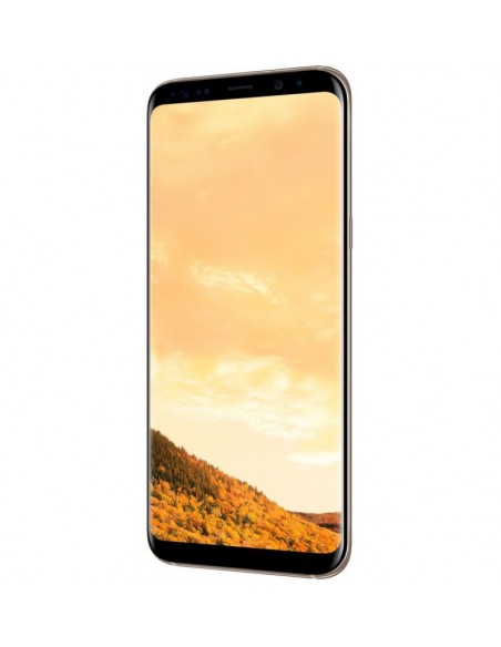 Samsung Galaxy S8 Plus Gold