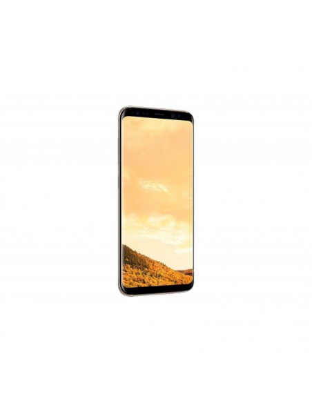 Samsung Galaxy S8 Gold