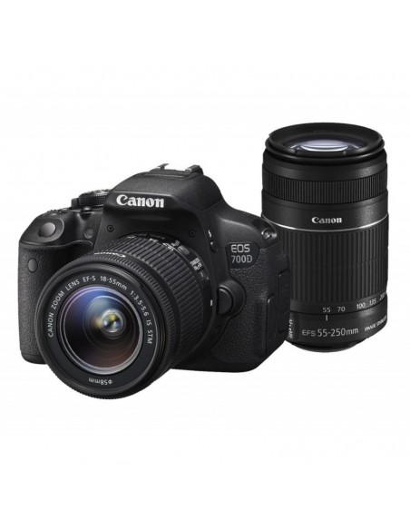 Reflex Canon EOS 700D + Objectif Canon EF-S 18-55mm f/3.5-5.6 IS STM + Objectif 55-250 IS STM