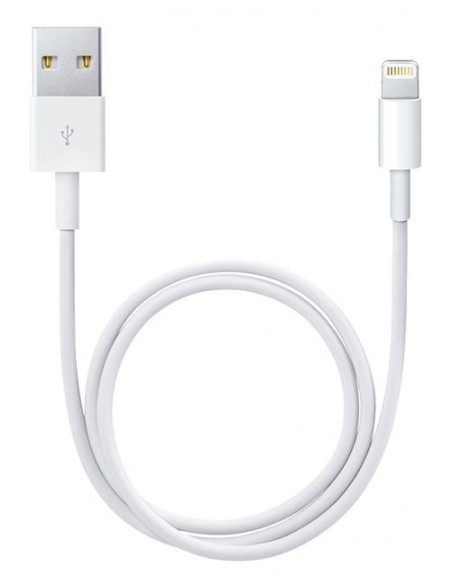 Cable APPLE /Lightning - USB 2.0 /Blanc /0.5m