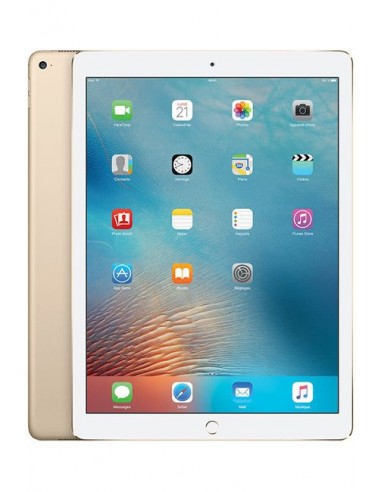 iPad Pro 256 Go /WiFi/3G /8 Mpx /Gold /12,9 Pouces