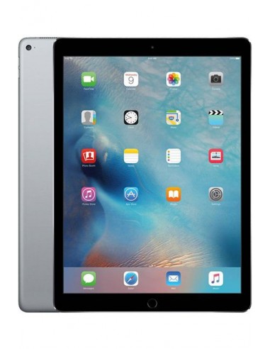 iPad Pro 256 Go /WiFi/3G /12 Mpx /Space Grey /9.7 pouces