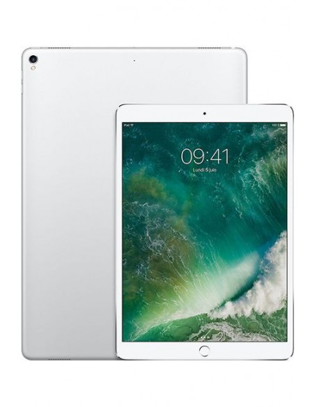 iPad Pro /12.9 Pouce /WiFi + Cellular /256 Go /4 Go /Silver /12 Mpx