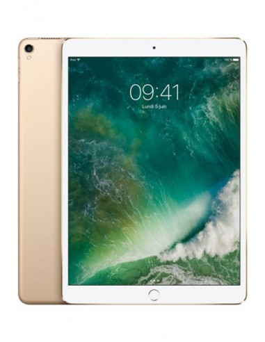 iPad Pro 512 Go /10,5Pouce /Rose Gold /Wi-Fi + Cellular