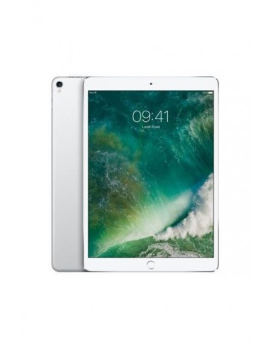 iPad Pro 12,9Pouce /Silver /Wi-Fi + 4 G /4 Go /512 Go /12 Mpx