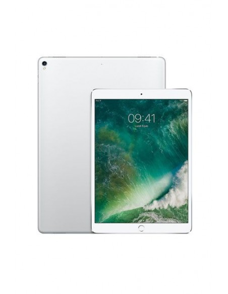 iPad Pro 12,9Pouce /Silver /Wi-Fi + 4 G /4 Go /512 Go /12 Mpx