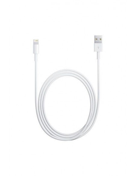 Cable APPLE /Lightning - USB 2.0 /Blanc /2m Pour : iPad - iPhone - iPod