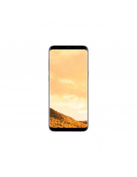 Smartphone 4G Samsung Galaxy S8 + avec Silicone Cover