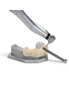 Cartouche Résine Form 2 Dental SG 1L (RS-F2-DGOR) 2