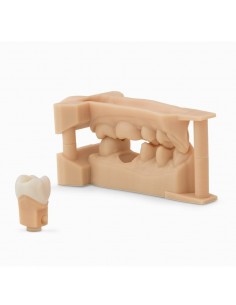 Cartouche Résine Form 2 Dental Model 1L (RS-F2-DMBE) 2