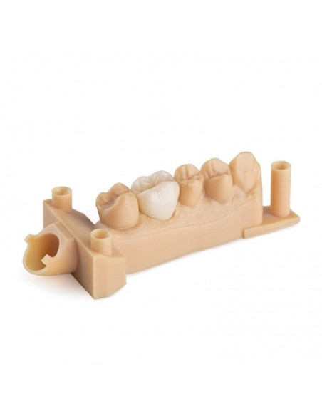 Cartouche Résine Form 2 Dental Model 1L (RS-F2-DMBE)