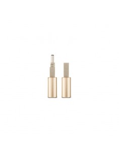 Clé USB Adata Type-C USB 3.1 32GB Doré (AUC350-32G-CGD) 2