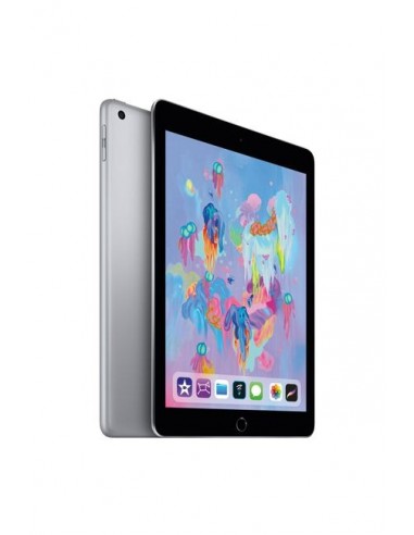 iPad /Gris /9.7Pouce /LED tactile /IPS /2048 x 1536 /Apple A10 /32 Go /8 Mpx /4G - WiFi