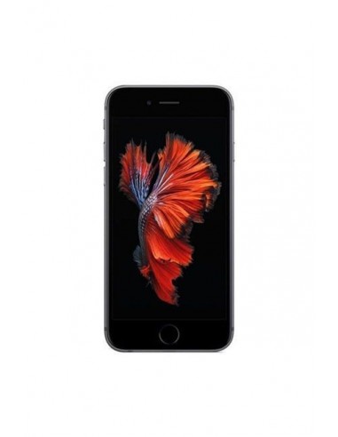 iPhone 6 32 Go /4.7Pouce /Gris /Écran Retina HD /750 x 1334 pixels /326 ppp /IPS /Dual-Core /1.4 GHz /1 Go /8 Mpx /Apple iOS 8