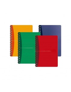 Cahier MINTRA à spirales petits carreaux 100p 21x29,7 cm 2