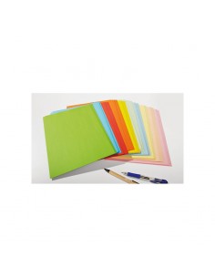 100 CHEMISES CARTONNÉES - 120G - COLORIS AU CHOIX 2