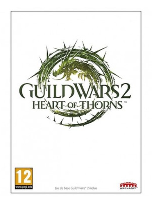 Jeu Guild Wars 2 Heart of Thorns sur PC