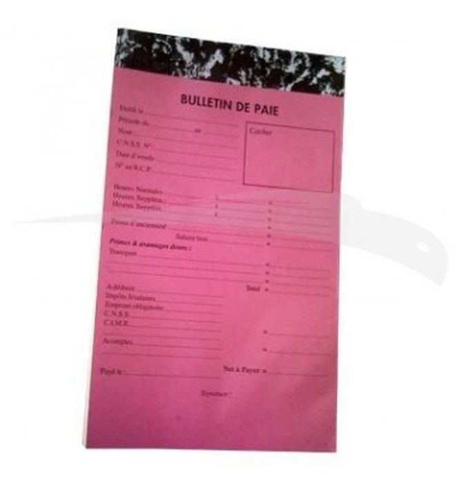 MANIFOLDS \" BULLETIN DE PAIE \" - 50 FEUILLES - 19 x 12,5 cm - Lot de 5 manifolds