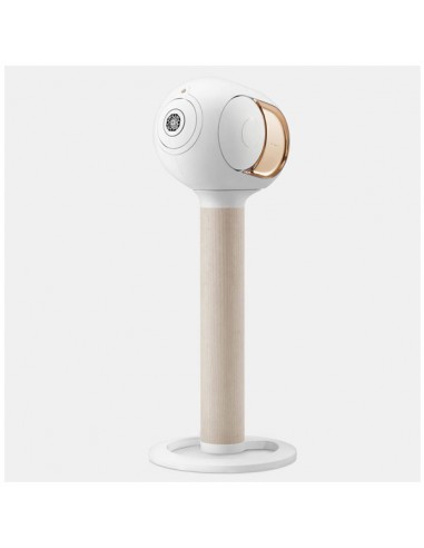 Enceinte Tree Wood