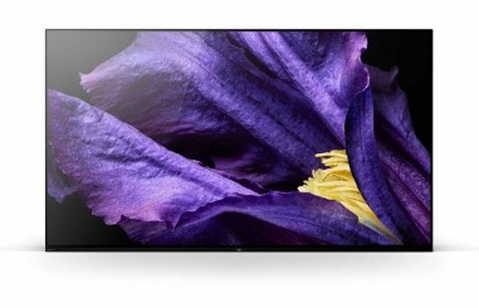 Téléviseur OLED SONY KD-65A9F