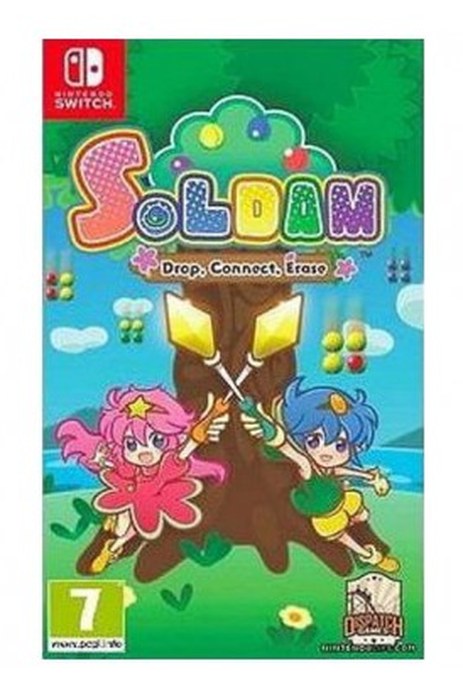Jeu Soldam Switch