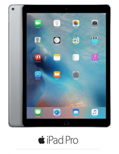 iPad Pro 32 Go /WiFi/3G /12 Mpx /Space Grey /9.7 pouces