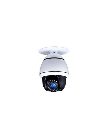 Caéra mini dome(DM-30BIR)