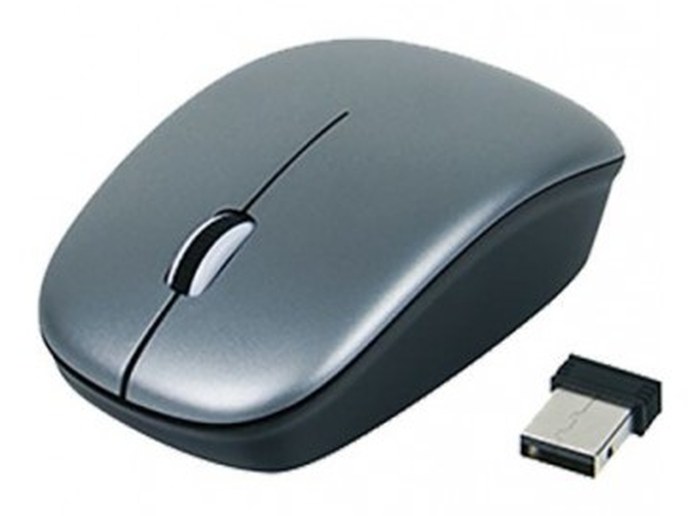 Souris TX Optique Sans Fil /USB /Grise