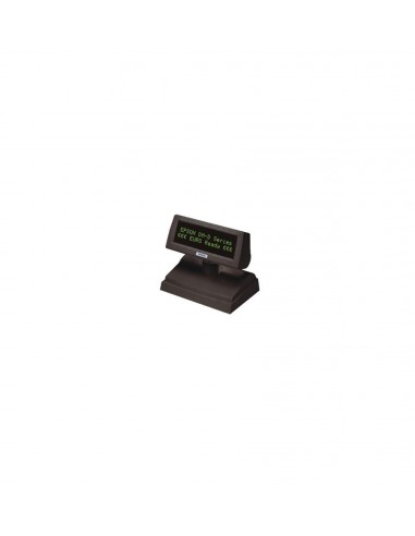 EPSON Afficheur DM-110 Noir (A61B133EBG)