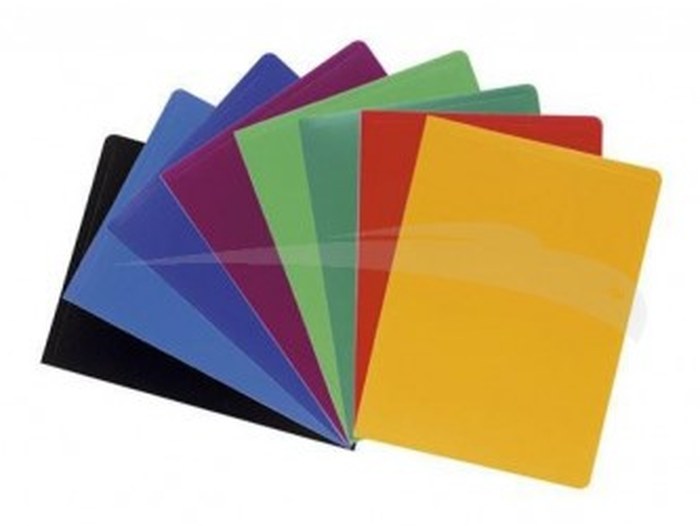 PORTES-VUES - EXACOMPTA - 100 Vues A4 - Lot de 12 Porte-vues