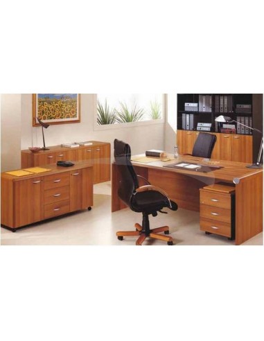 BUREAU PRÉSIDENT - AVEC BIBLIOTHÈQUE - EN BOIS ACAJOU