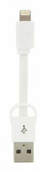 Cable ENERGIZER /Blanc /Pocket USB Light /8 cm /USB 2.0 - Lightning