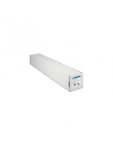 Papier couché HP (610 mm x 45,7 m) (C6019B)