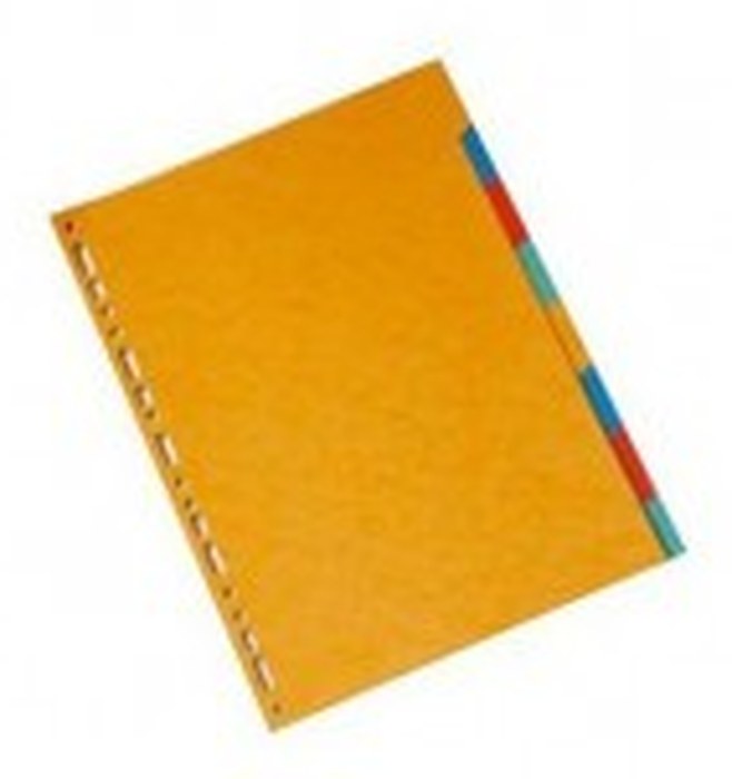 LOT DE 10 JEUX D'INTERCALAIRES A4