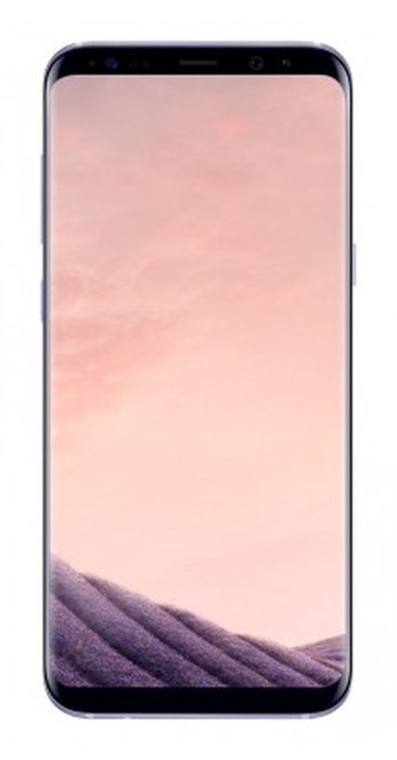 Samsung Galaxy S8 Plus Gris