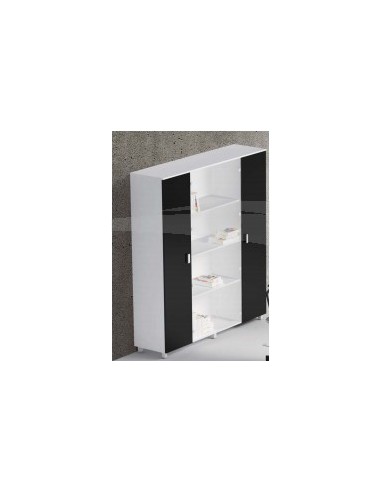 Bibliothéque avec 2 + 2 portes L 250 P 50 H 200 cm
