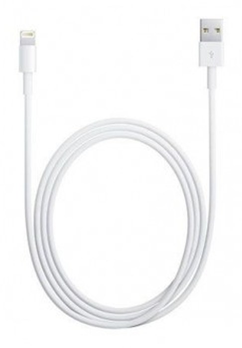 Cable APPLE /Lightning - USB 2.0 /Blanc /2m Pour : iPad - iPhone - iPod