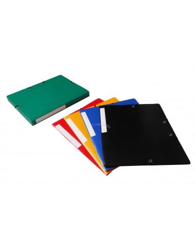 CHEMISES A 3 RABATS EN POLYPRO - FORMAT A4 - 24*32- AVEC ÉLASTIQUES 600 Microns - DOS 2,5cm - LOT DE 10 CHEMISES COULEURS ASSO