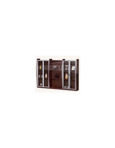 Bibliothéque avec 2 + 2 portes L 250 P 50 H 200 cm