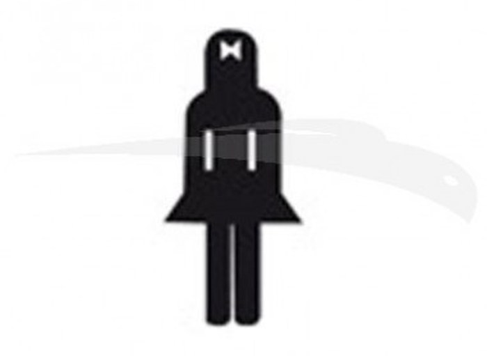 ÉTIQUETTE DE SIGNALISATION / FEMME - APLI - 114 mm X 114 mm
